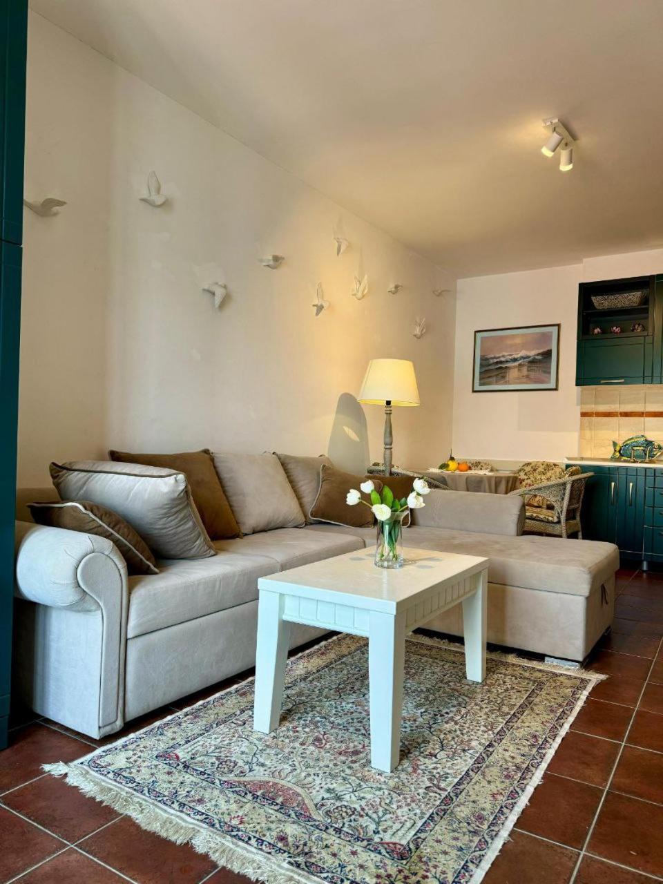 Vikka Boka Apartment Donja Kostanjica Luaran gambar