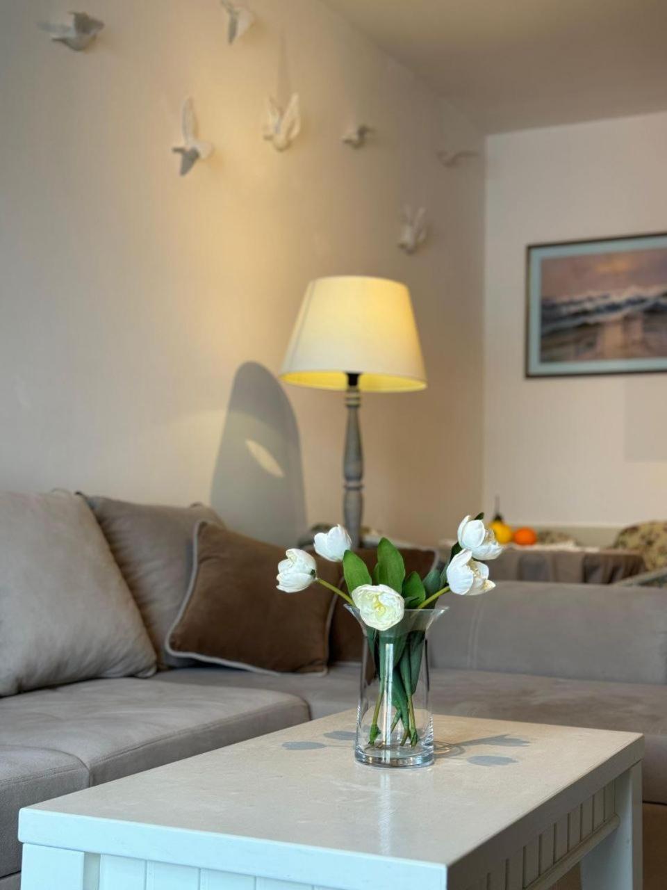 Vikka Boka Apartment Donja Kostanjica Luaran gambar